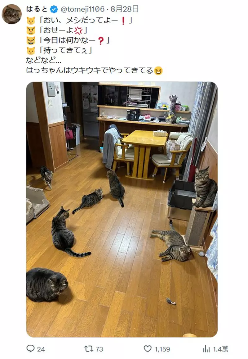 圖片3