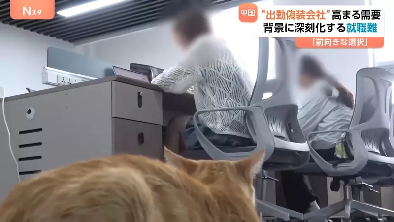 圖片3