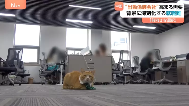 圖片1
