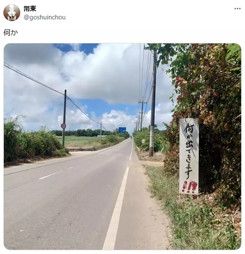 圖片2