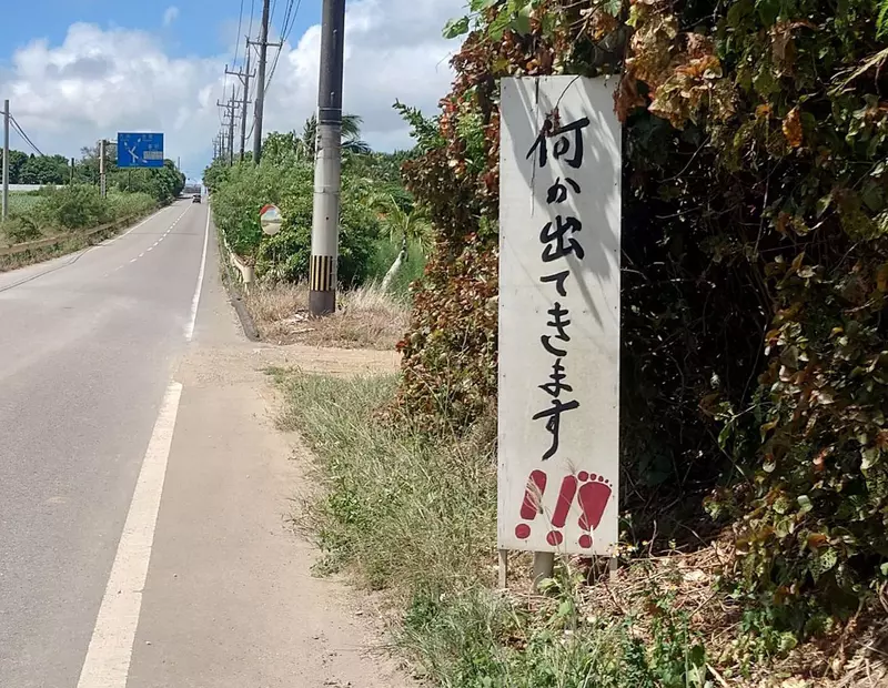 圖片1