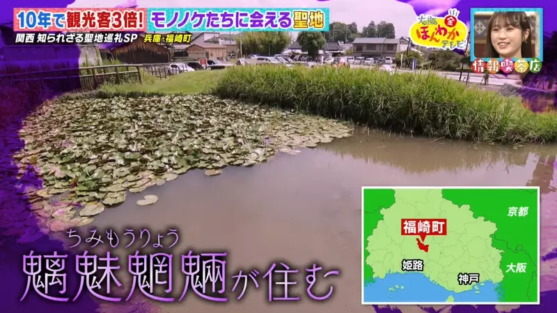 圖片3