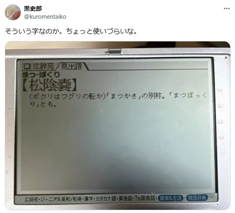 圖片3