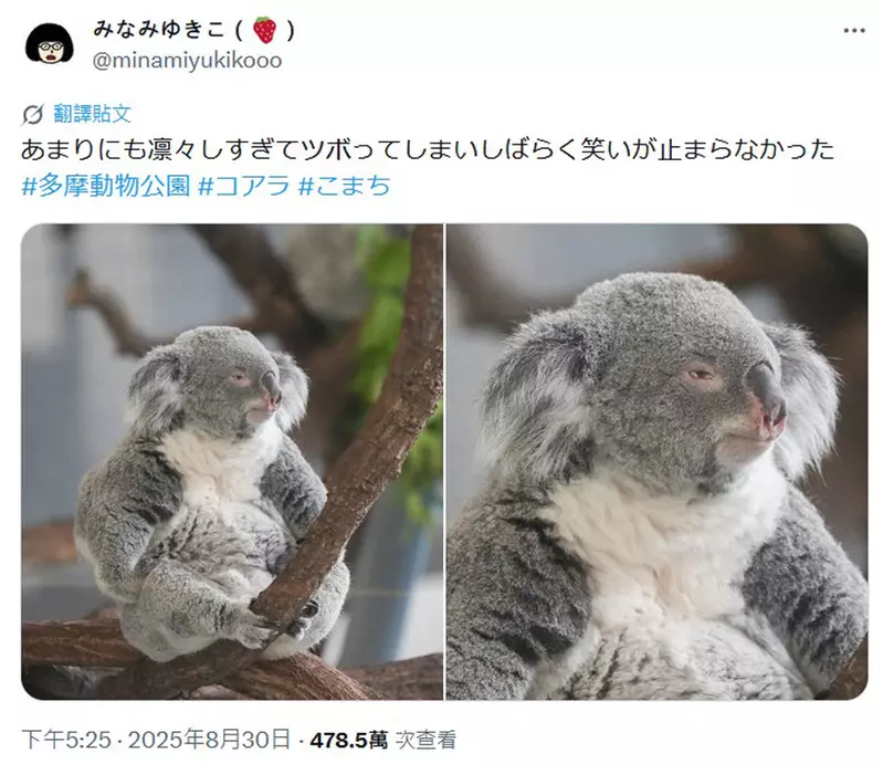圖片3