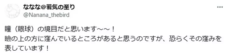 圖片3