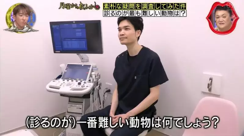 圖片1