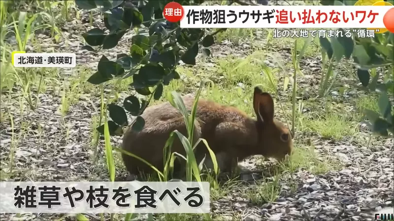 圖片13 圖片13