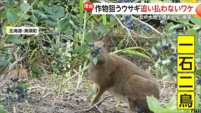 圖片1