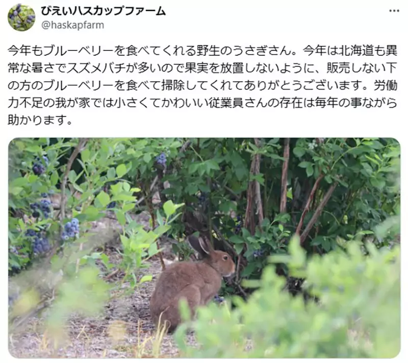 圖片2