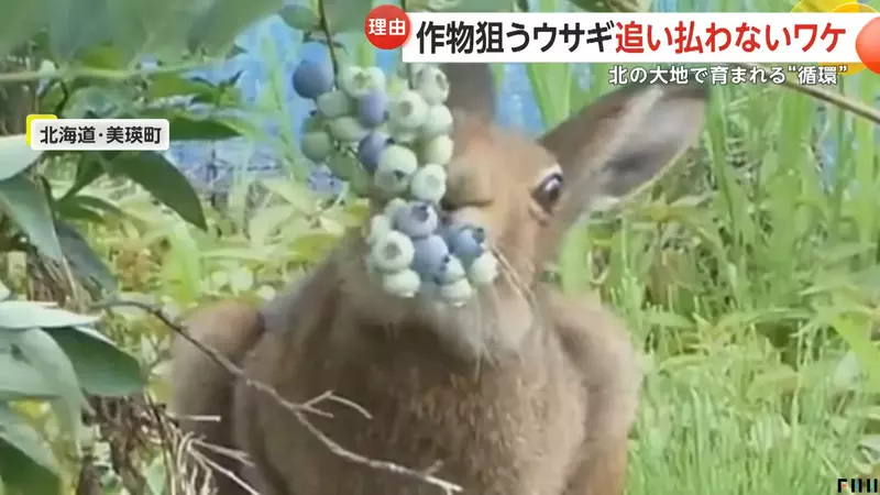 圖片4 圖片4