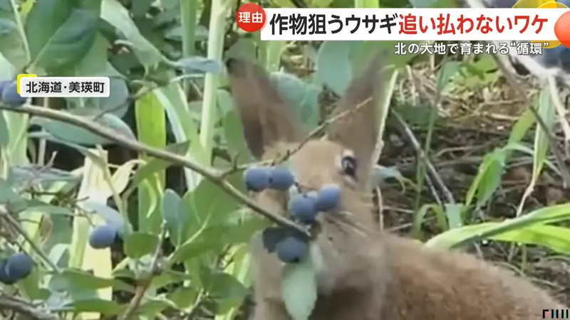 圖片5 圖片5