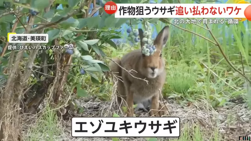 圖片3