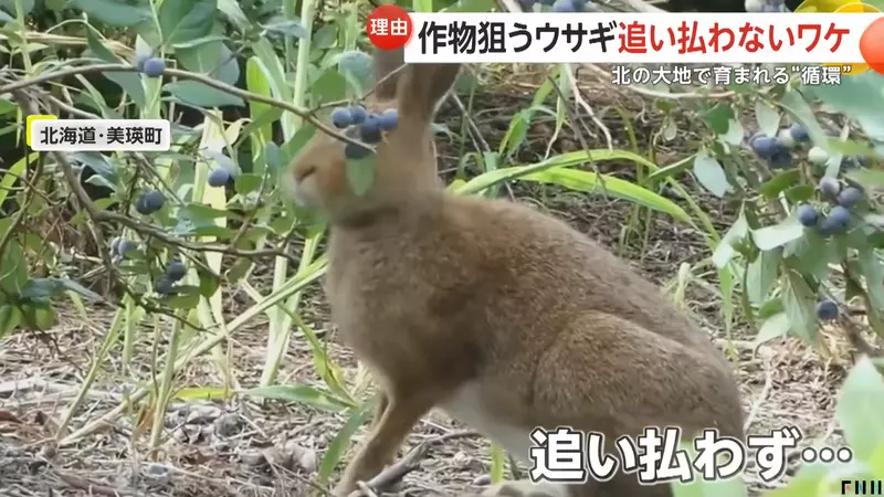 圖片6 圖片6