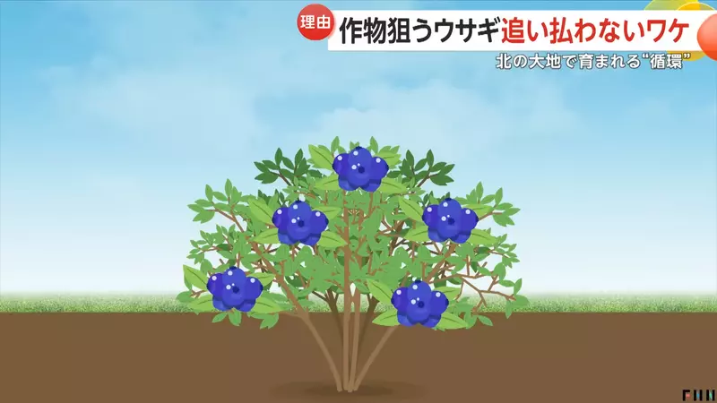圖片8 圖片8