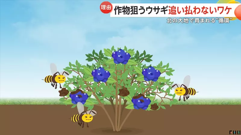 圖片10 圖片10