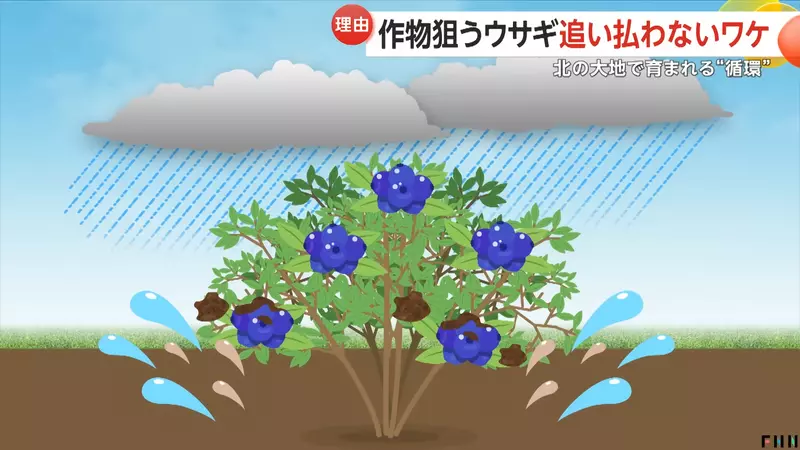 圖片9 圖片9