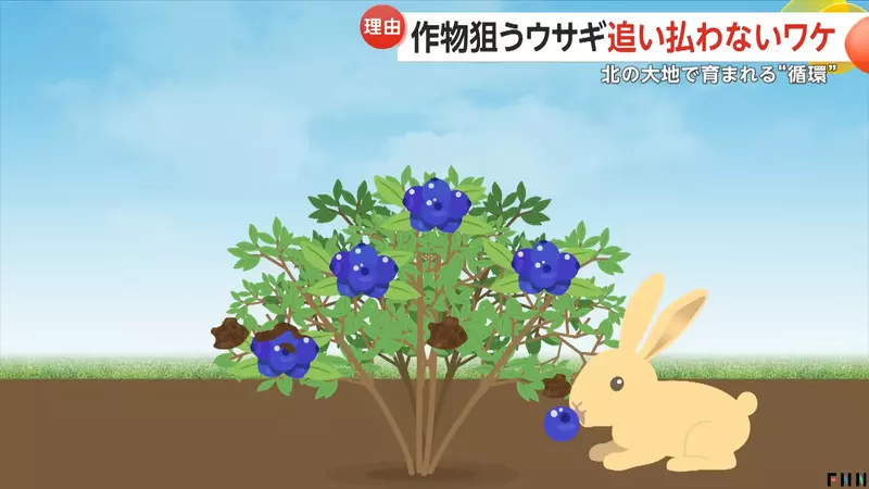 圖片11 圖片11