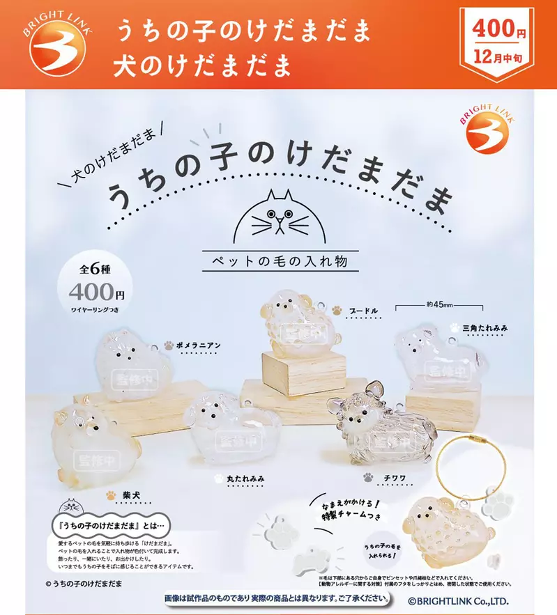 圖片6 圖片6