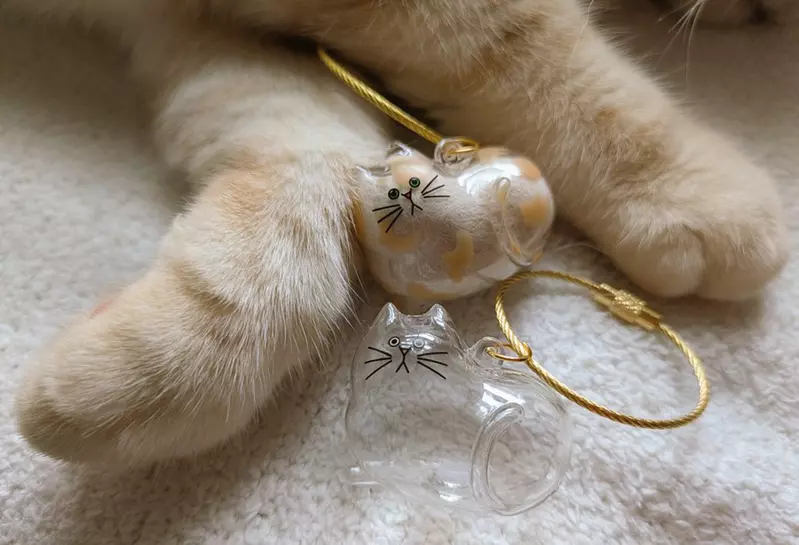 圖片5 圖片5