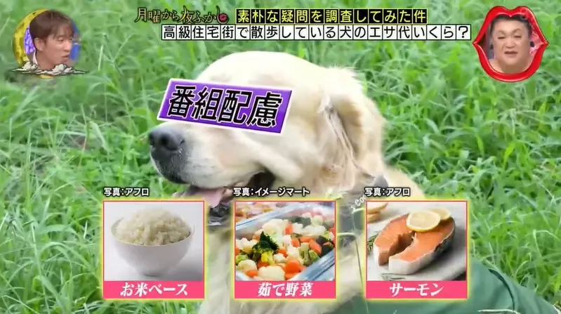 圖片1