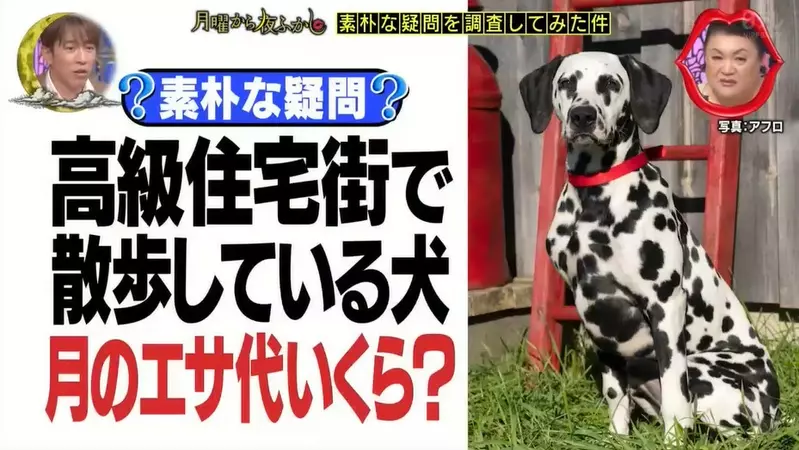 圖片2