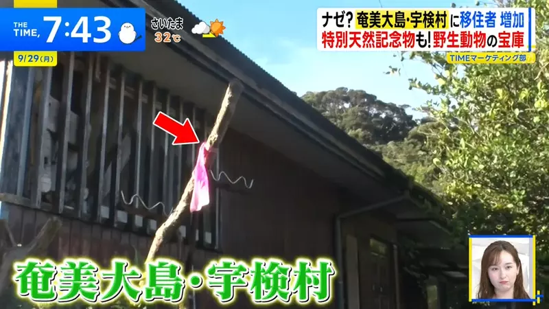 圖片1