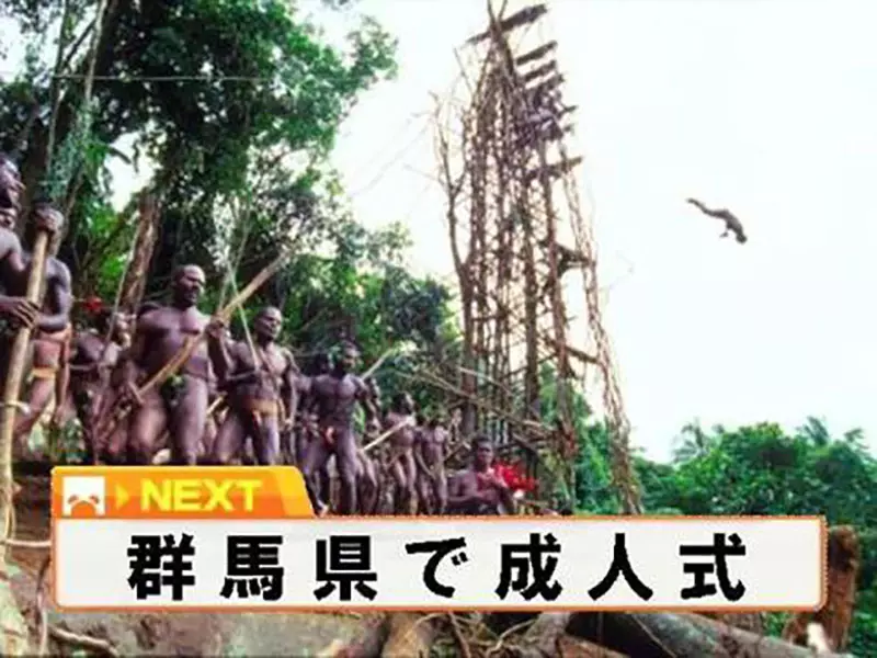 图片13