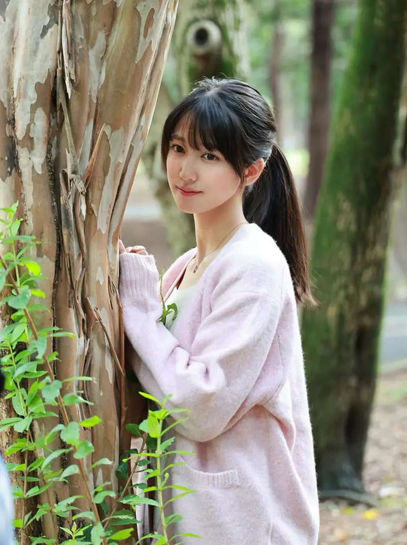圖片12 圖片12