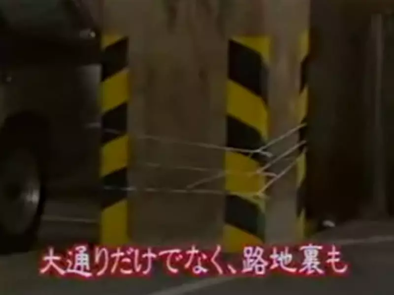 圖片7