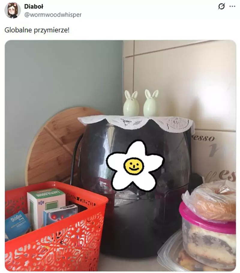圖片7