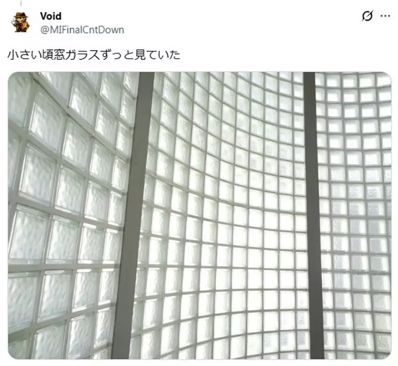 圖片12