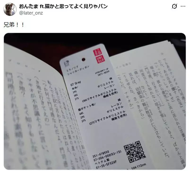 圖片4