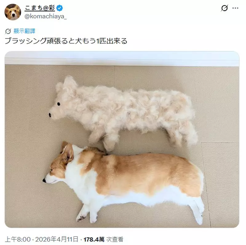 圖片7