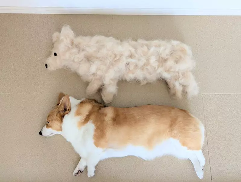 圖片1