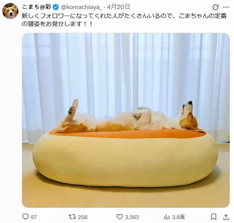 圖片3