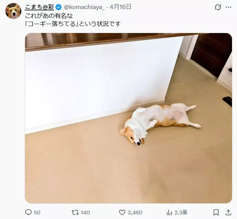 圖片4