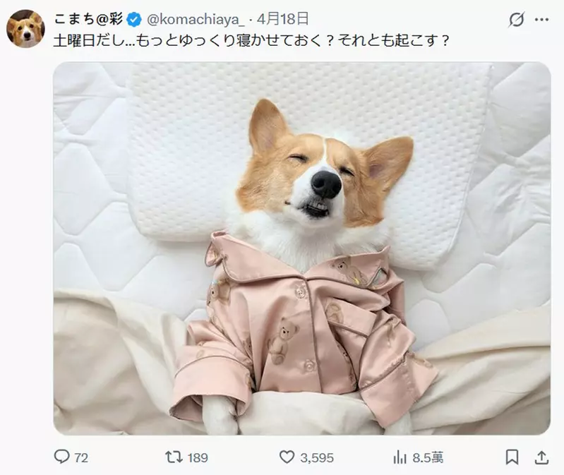 圖片2