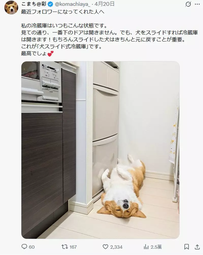 圖片5