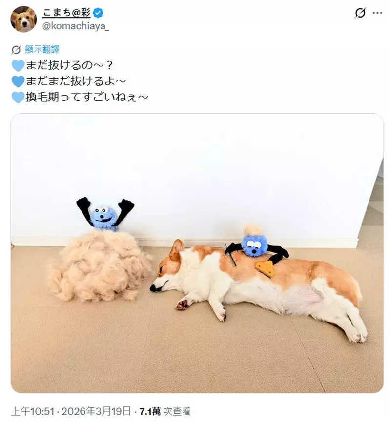 圖片6