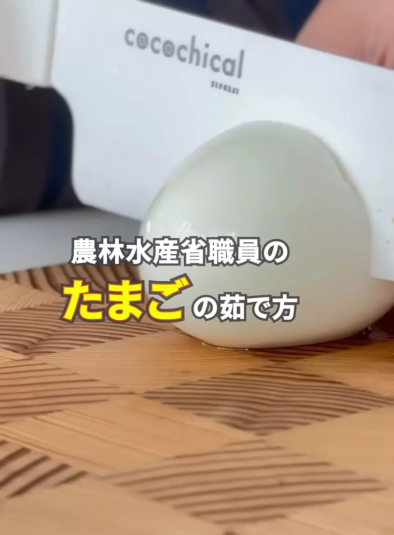 圖片2