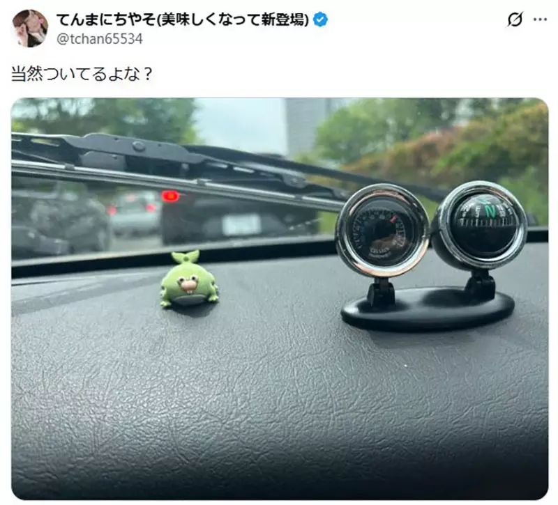 圖片11