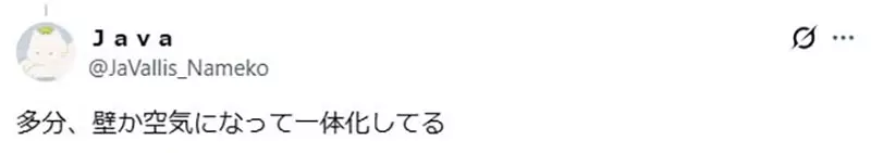 圖片6