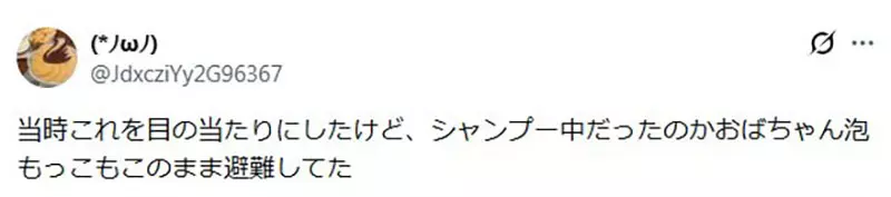 圖片5