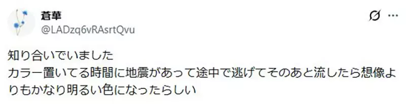 圖片11