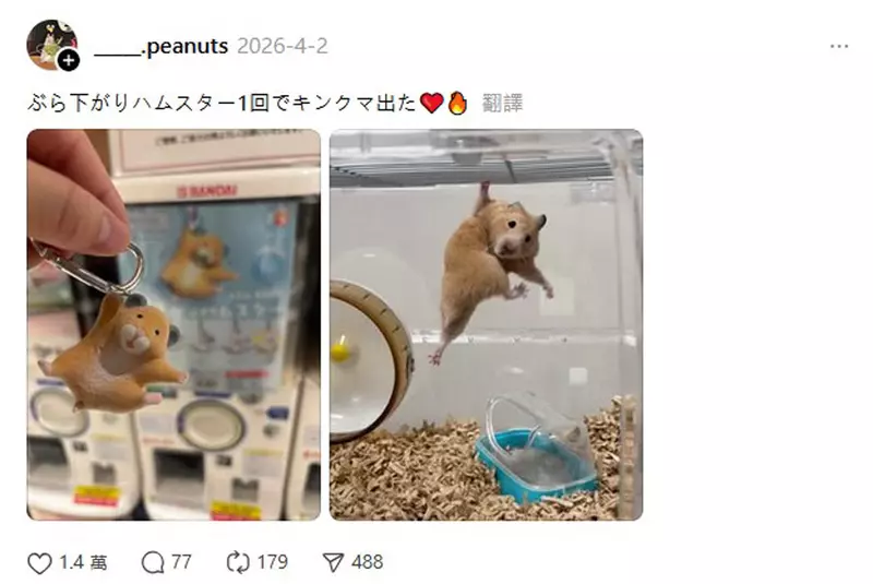 圖片3