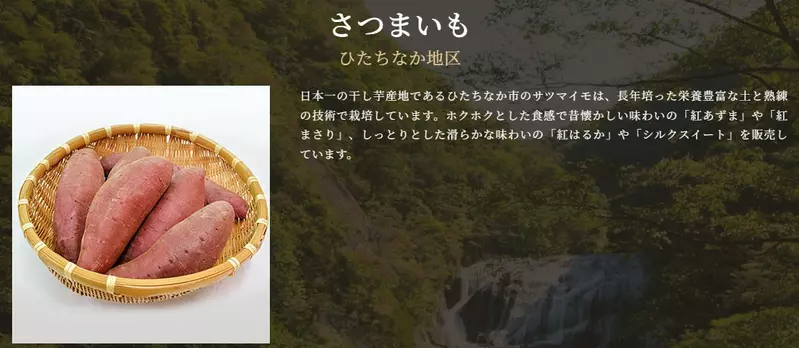 圖片5