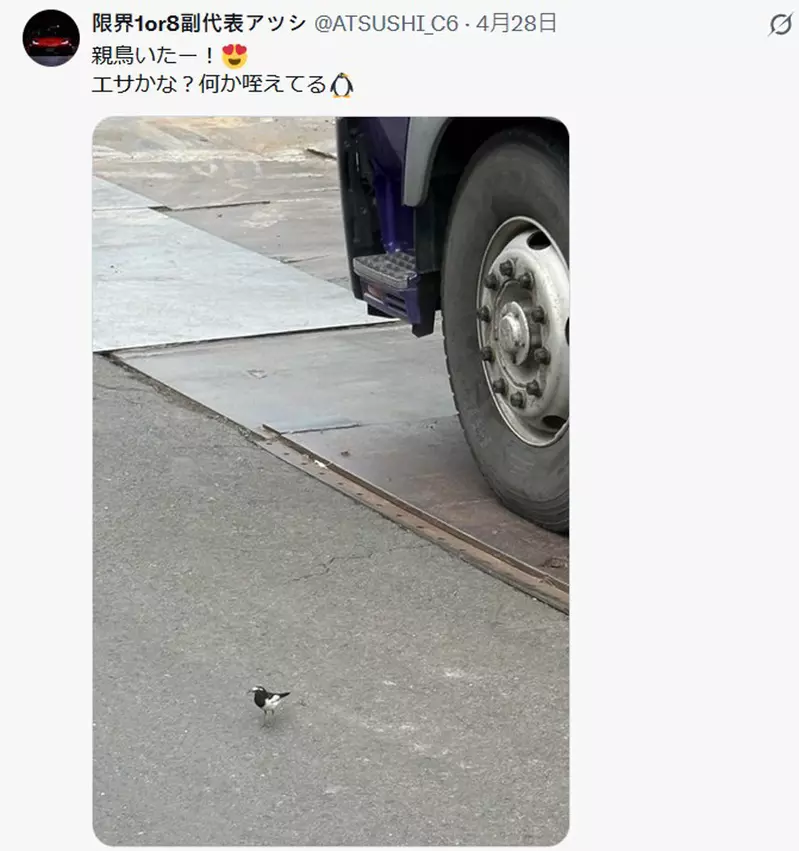 圖片2