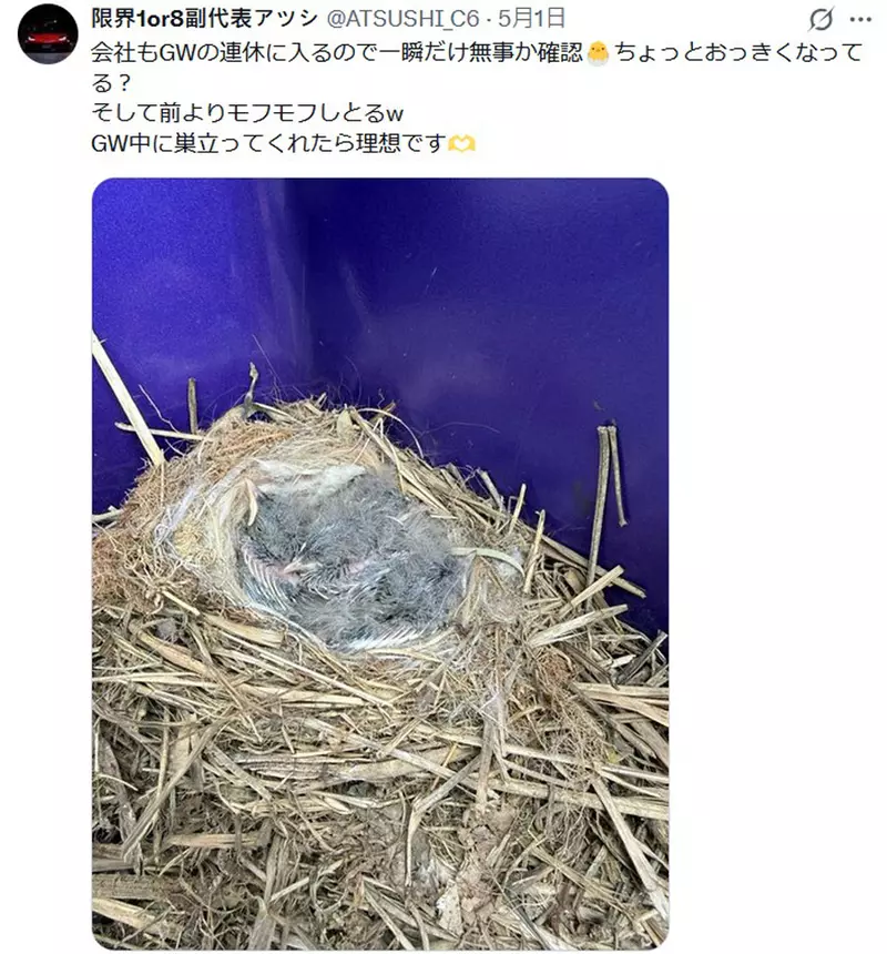 圖片5