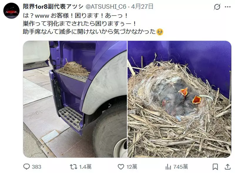 圖片3