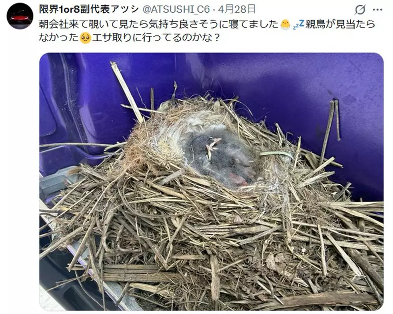 圖片4